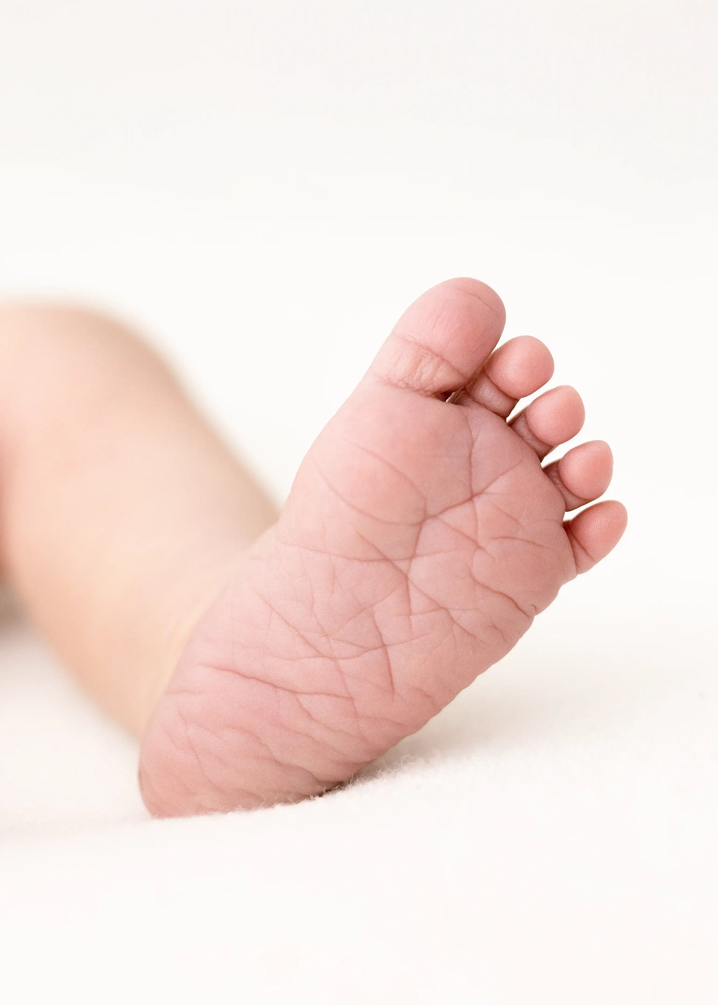 Close-up of a newborn baby's foot on a white background, showing fine skin detail in natural light.